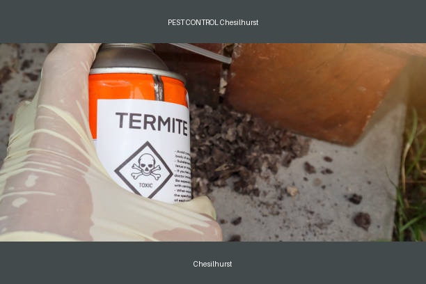PEST CONTROL Chesilhurst
